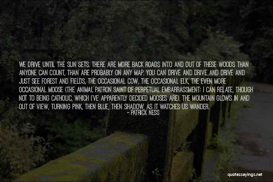 Forest Roads Quotes By Patrick Ness