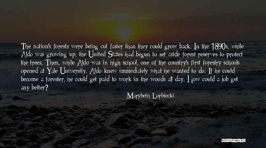 Forest Schools Quotes By Marybeth Lorbiecki