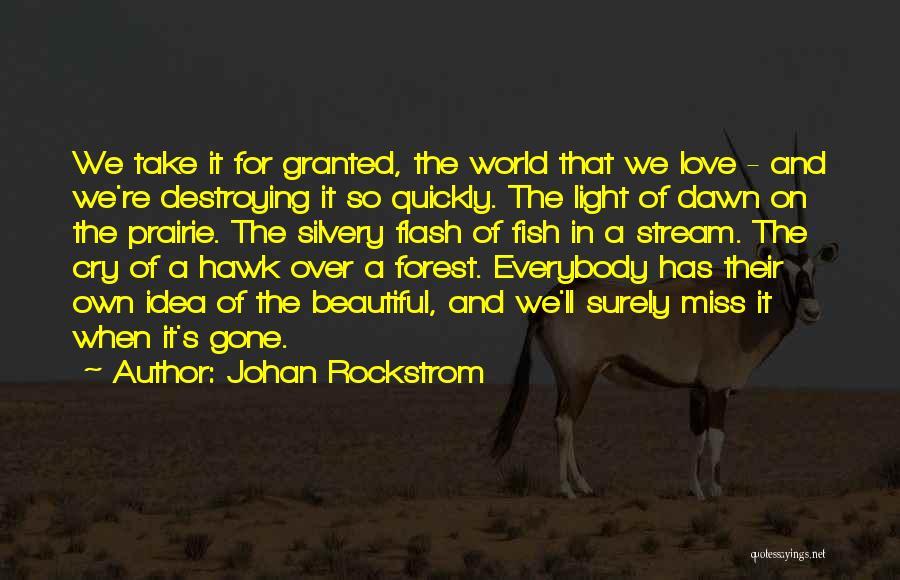 Forest Stream Quotes By Johan Rockstrom