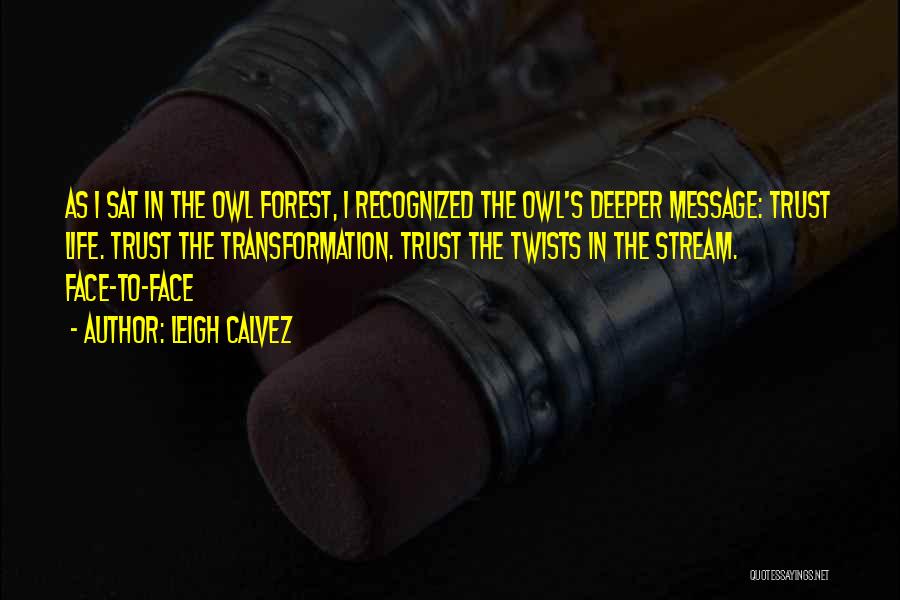 Forest Stream Quotes By Leigh Calvez