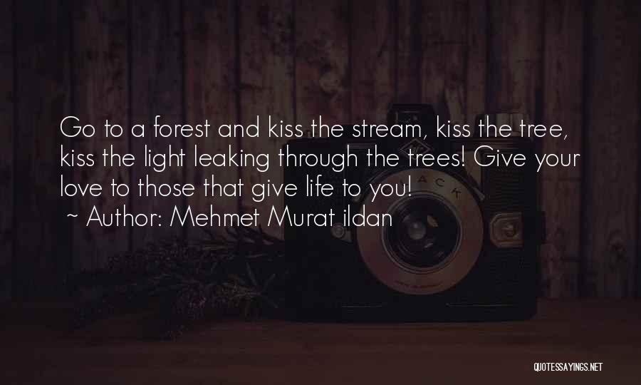 Forest Stream Quotes By Mehmet Murat Ildan