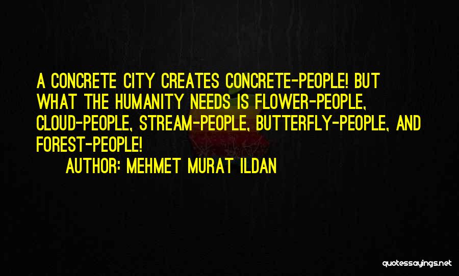Forest Stream Quotes By Mehmet Murat Ildan