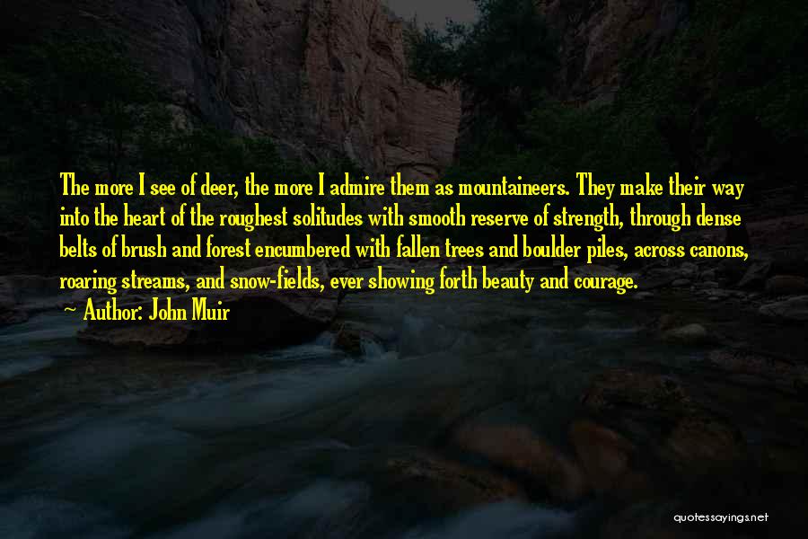 Forest Streams Quotes By John Muir