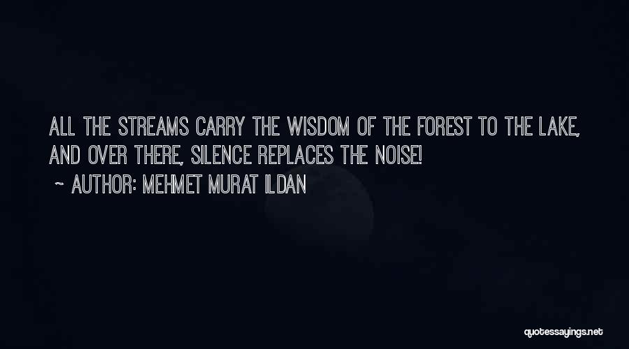 Forest Streams Quotes By Mehmet Murat Ildan