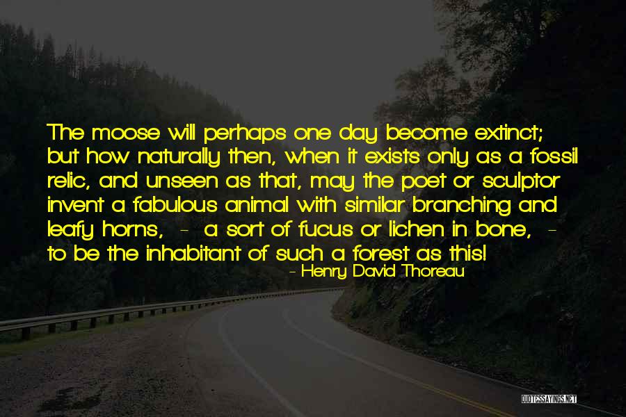 Forest Unseen Quotes By Henry David Thoreau Forest Unseen Quotes By Henry David Thoreau