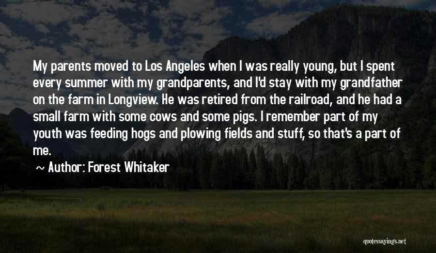 Forest Whitaker Quotes 587312