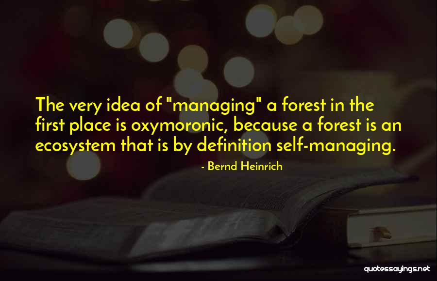 Forestry Quotes By Bernd Heinrich Forestry Quotes By Bernd Heinrich