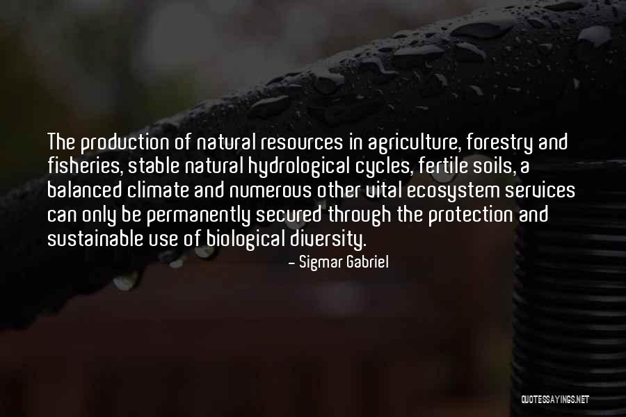 Forestry Quotes By Sigmar Gabriel Forestry Quotes By Sigmar Gabriel