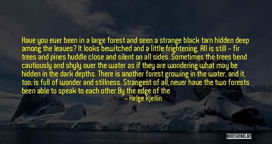 Forests And Life Quotes By Helge Kjellin Forests And Life Quotes By Helge Kjellin