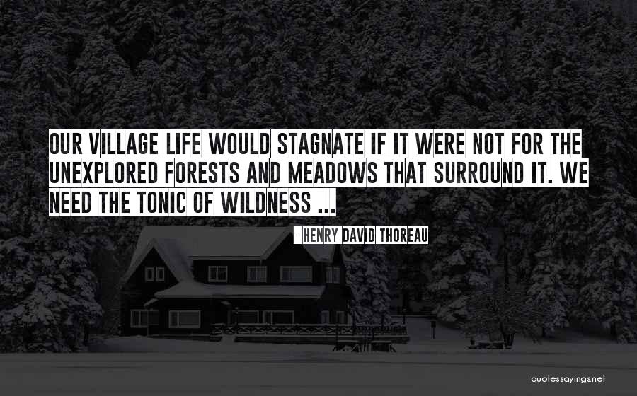 Forests And Life Quotes By Henry David Thoreau Forests And Life Quotes By Henry David Thoreau
