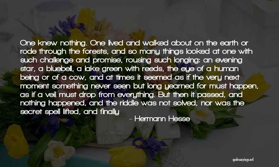 Forests And Life Quotes By Hermann Hesse Forests And Life Quotes By Hermann Hesse