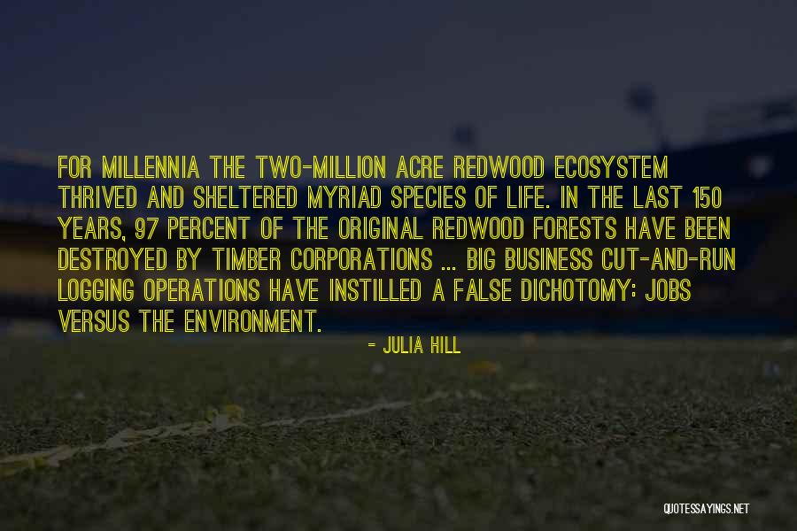 Forests And Life Quotes By Julia Hill Forests And Life Quotes By Julia Hill