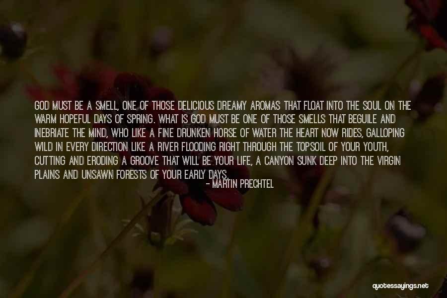 Forests And Life Quotes By Martin Prechtel Forests And Life Quotes By Martin Prechtel