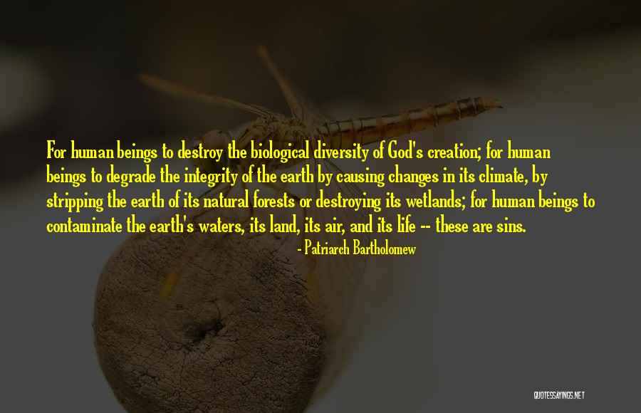 Forests And Life Quotes By Patriarch Bartholomew Forests And Life Quotes By Patriarch Bartholomew