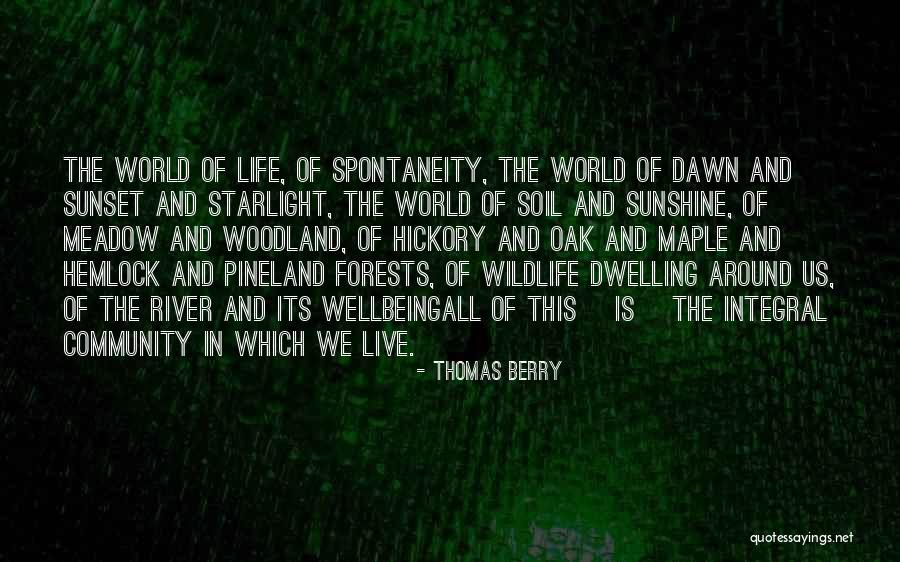 Forests And Life Quotes By Thomas Berry Forests And Life Quotes By Thomas Berry