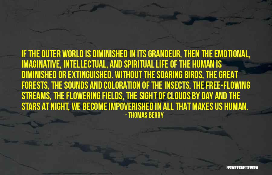 Forests And Life Quotes By Thomas Berry Forests And Life Quotes By Thomas Berry