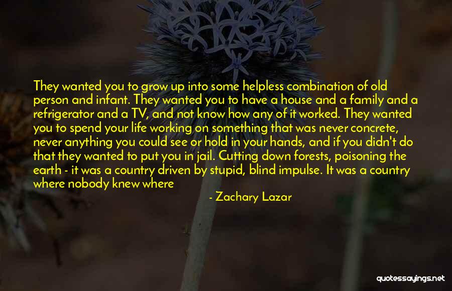 Forests And Life Quotes By Zachary Lazar Forests And Life Quotes By Zachary Lazar