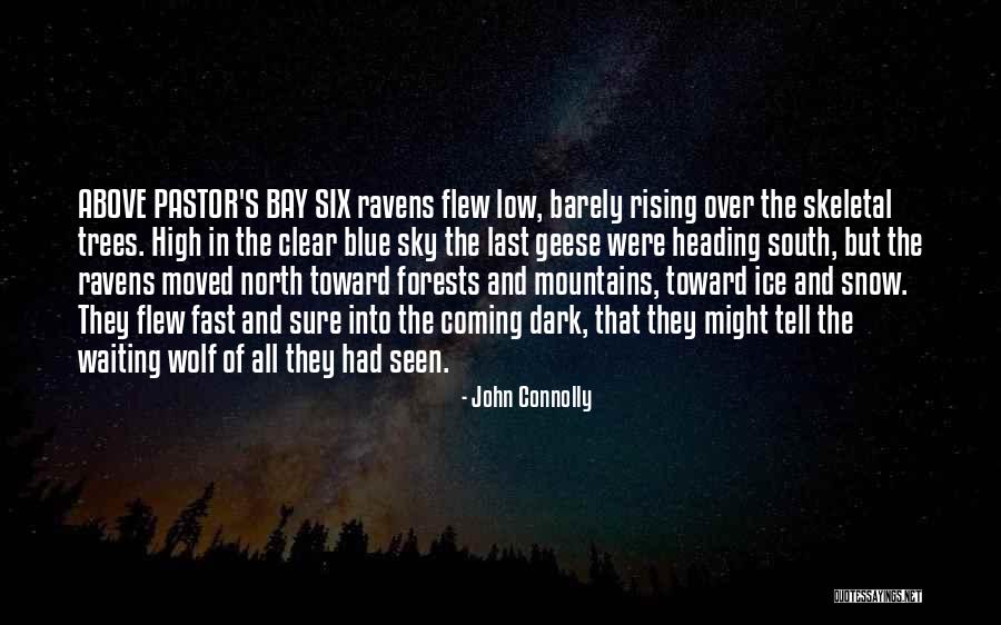 Forests And Mountains Quotes By John Connolly Forests And Mountains Quotes By John Connolly