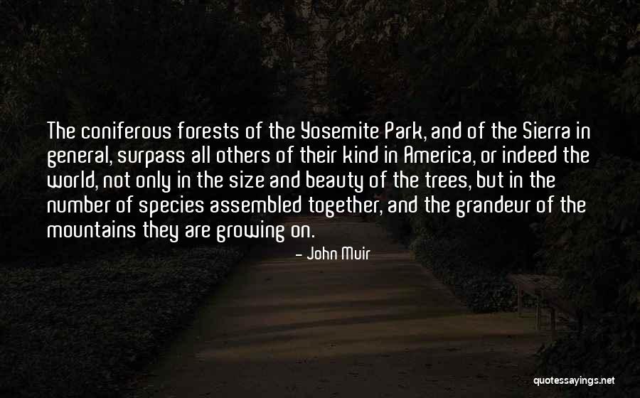 Forests And Mountains Quotes By John Muir Forests And Mountains Quotes By John Muir