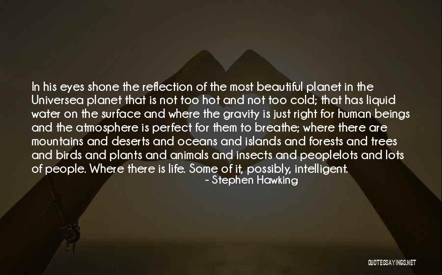 Forests And Mountains Quotes By Stephen Hawking Forests And Mountains Quotes By Stephen Hawking