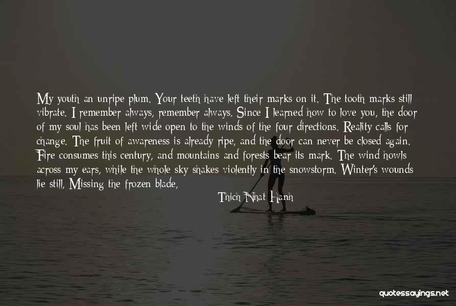 Forests And Mountains Quotes By Thich Nhat Hanh Forests And Mountains Quotes By Thich Nhat Hanh