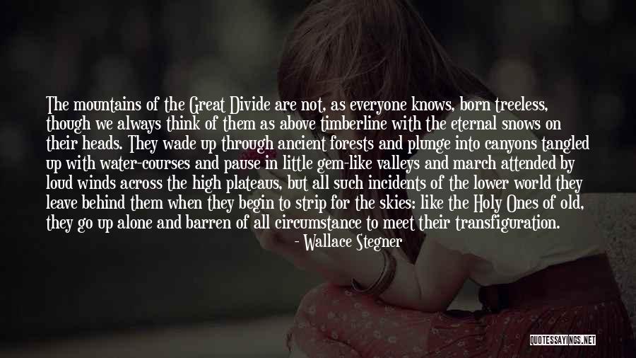 Forests And Mountains Quotes By Wallace Stegner Forests And Mountains Quotes By Wallace Stegner