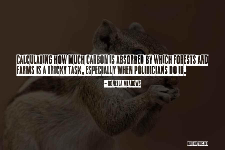 Forests Are The Only Carbon Quotes By Donella Meadows Forests Are The Only Carbon Quotes By Donella Meadows