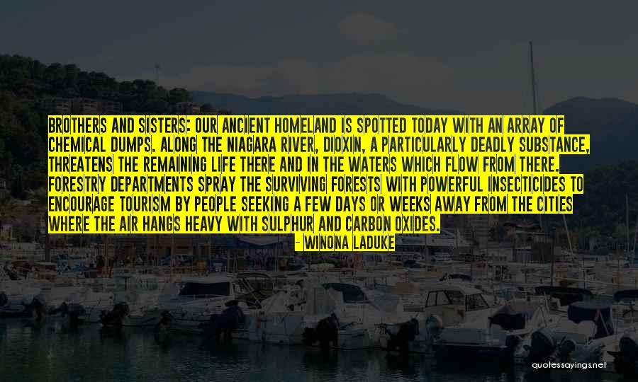 Forests Are The Only Carbon Quotes By Winona LaDuke Forests Are The Only Carbon Quotes By Winona LaDuke