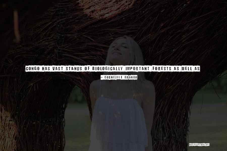 Forests Conservation Quotes By Corneille Ewango Forests Conservation Quotes By Corneille Ewango