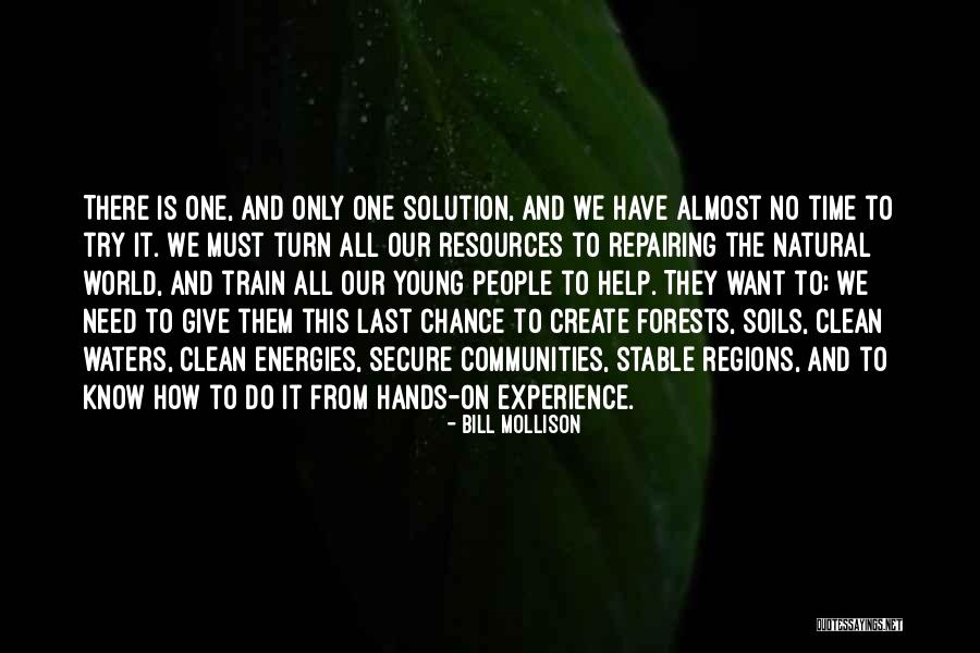 Forests The World Quotes By Bill Mollison Forests The World Quotes By Bill Mollison