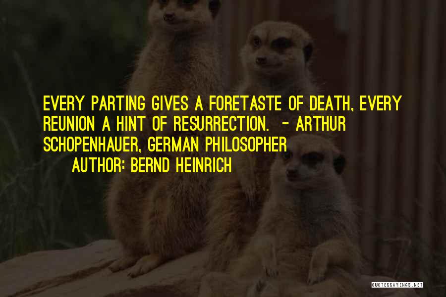 Foretaste Quotes By Bernd Heinrich