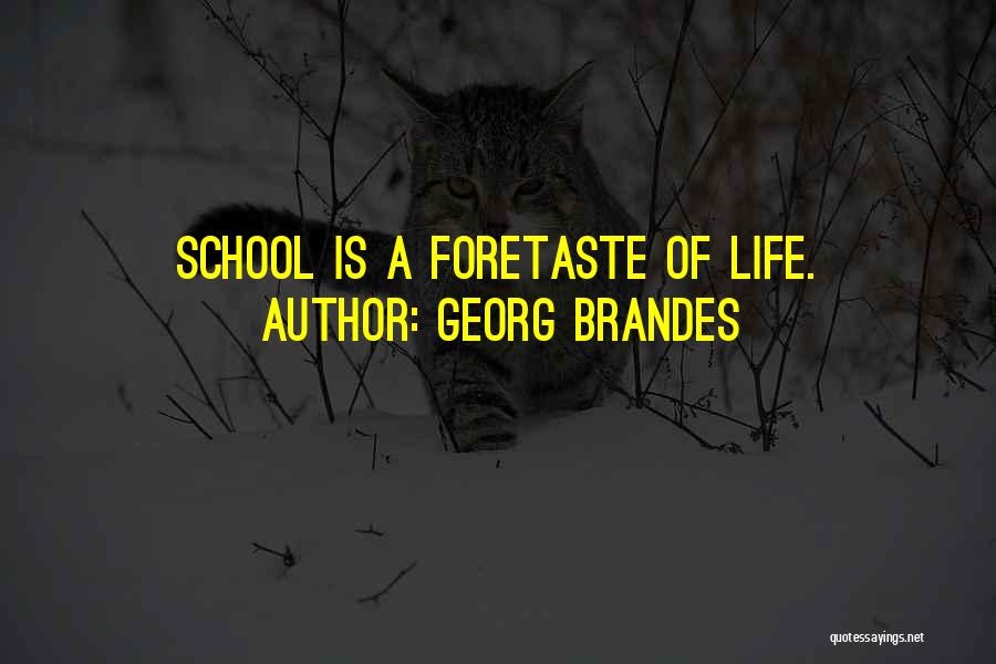 Foretaste Quotes By Georg Brandes