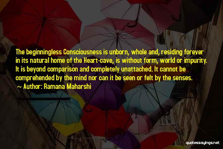 Forever And Beyond Quotes By Ramana Maharshi