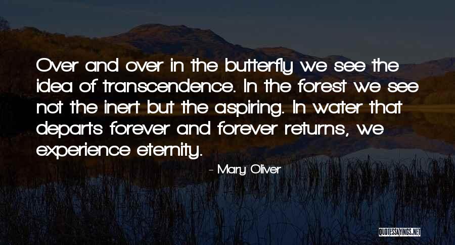 Forever Butterfly Quotes By Mary Oliver Forever Butterfly Quotes By Mary Oliver
