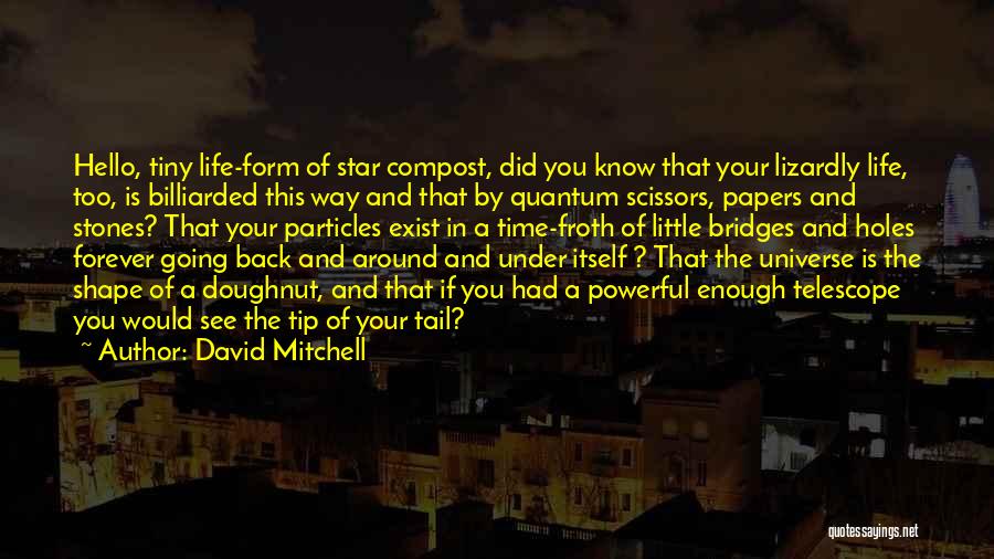 Forever Do Exist Quotes By David Mitchell