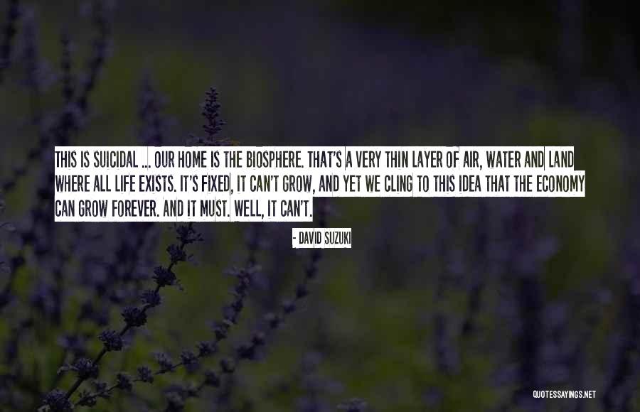 Forever Exists Quotes By David Suzuki