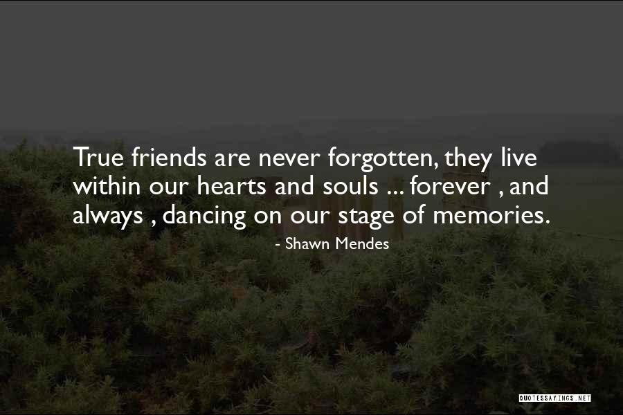 Forever Friends Quotes By Shawn Mendes