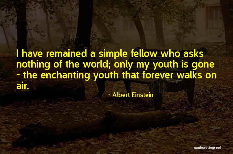Forever Gone Quotes By Albert Einstein Forever Gone Quotes By Albert Einstein