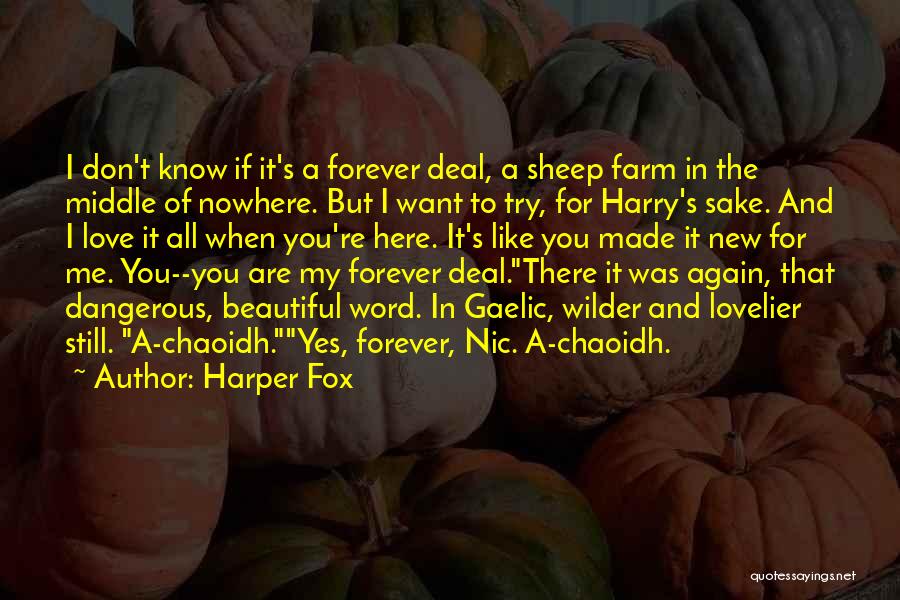 Forever Here For You Quotes By Harper Fox