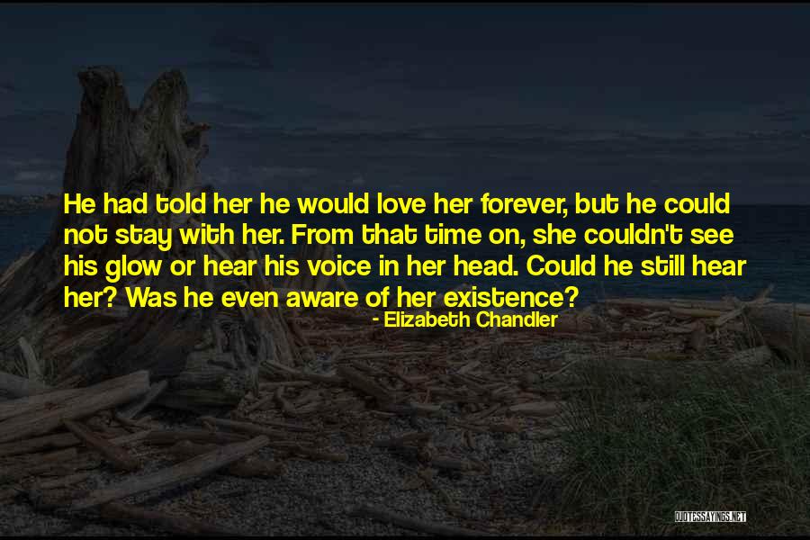 Forever His Quotes By Elizabeth Chandler