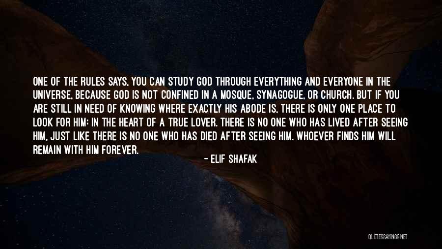 Forever Is Not True Quotes By Elif Shafak Forever Is Not True Quotes By Elif Shafak