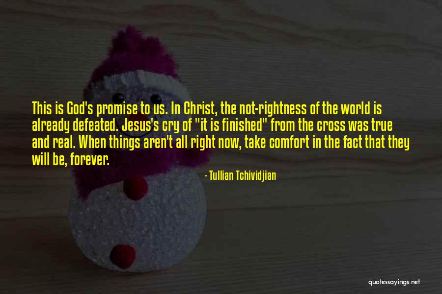 Forever Is Not True Quotes By Tullian Tchividjian Forever Is Not True Quotes By Tullian Tchividjian