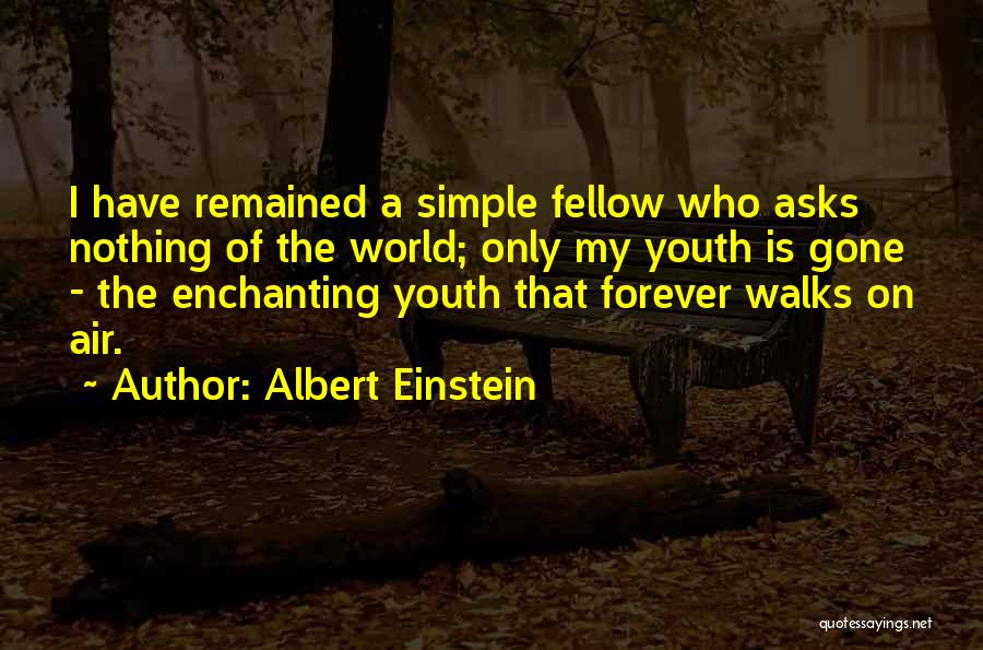 Forever Is Nothing Quotes By Albert Einstein