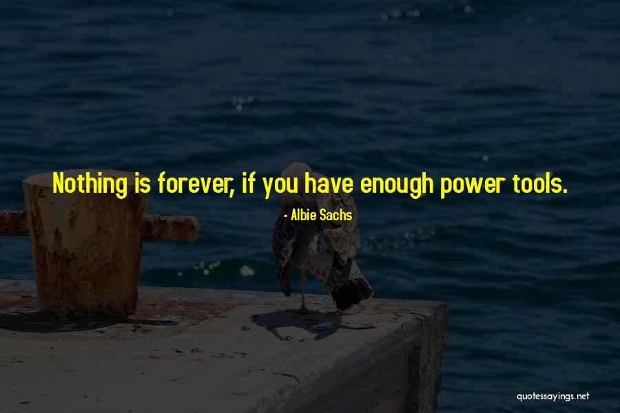 Forever Is Nothing Quotes By Albie Sachs