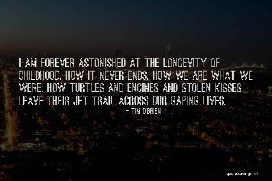 Forever Never Ends Quotes By Tim O'Brien