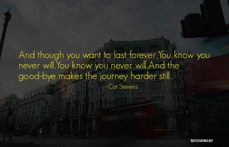 Forever The Song Quotes By Cat Stevens Forever The Song Quotes By Cat Stevens