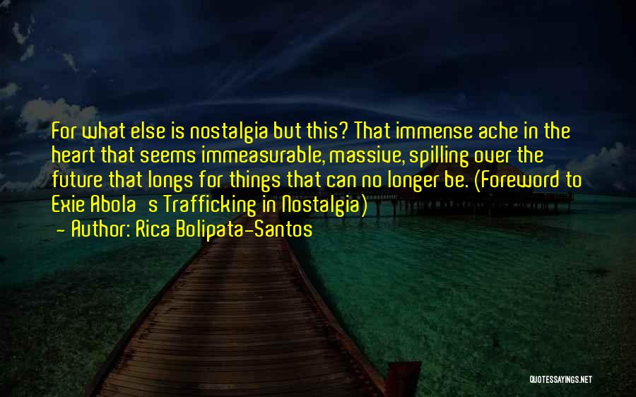 Foreword Quotes By Rica Bolipata-Santos