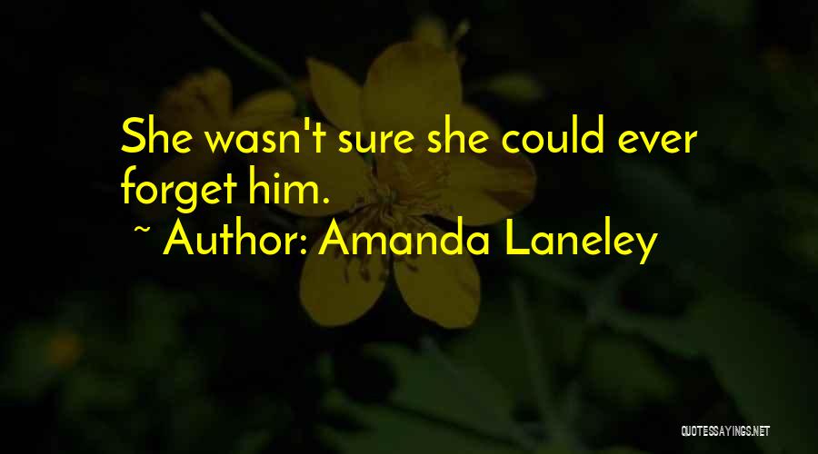 Forget About Him Quotes By Amanda Laneley