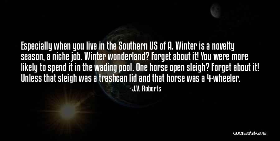 Forget About You Quotes By J.V. Roberts Forget About You Quotes By J.V. Roberts