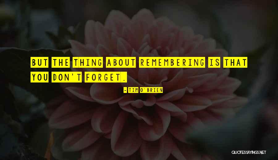 Forget About You Quotes By Tim O'Brien